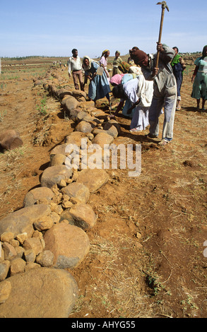 Les champs en terrasses de la communauté locale sur un programme "vivres contre travail" pendant la saison sèche pour éviter l'érosion des sols lors de l'arrivée des pluies. Le tigré. L'Ethiopie Banque D'Images