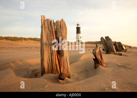 Septembre 2007 demeure d'épi en bois et les défenses maritimes le vieux phare 1895 rejette Point East Yorkshire UK Banque D'Images