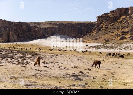 Sur la route de Potosi au Salar de Uyuni donnant sur le Sud de l'Altiplano et la cordillère des Andes, en Bolivie Banque D'Images