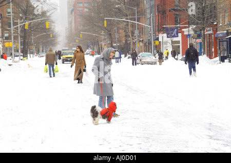 Une femme marche portant son manteau neigeux chien dans une rue de New York City Les piétons sur la chaussée sont plus nombreuses que les véhicules Banque D'Images