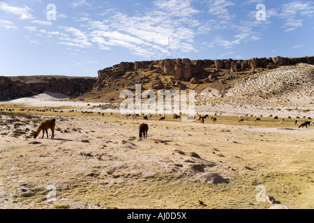 Sur la route de Potosi au Salar de Uyuni donnant sur le Sud de l'Altiplano et la cordillère des Andes, en Bolivie Banque D'Images