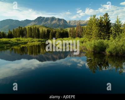 Les étangs de castor tranquille au pied du rocher de montagne en dents de scie le parc national dans le centre de l'Idaho en été vert Banque D'Images