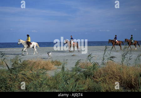 Équitation à cheval Cagliari Sardaigne Italie Banque D'Images