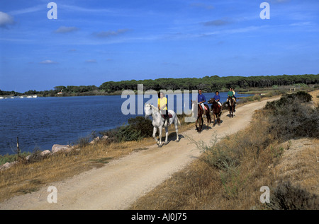 Équitation à cheval Cagliari Sardaigne Italie Banque D'Images