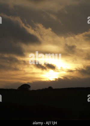 Les nuages de tempête formant au coucher du soleil sur la région de Tamar Lacs. La silhouette des arbres. Banque D'Images