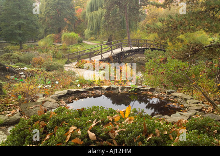 Jardin botanique de l'automne Wroclaw Pologne Banque D'Images