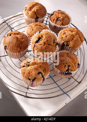 Muffins faits maison sur une grille de refroidissement l'alimentation éditoriale Banque D'Images