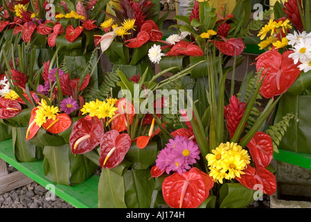 USA, Hawaii, Hilo, Big Island, Farmer's Market, fleur tripical stalle, anthurium, daisys, mums Banque D'Images