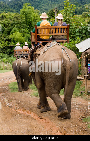 Vous équitation une paire d'éléphants à l'Elephant Park Project près de Luang Prabang au Laos Banque D'Images