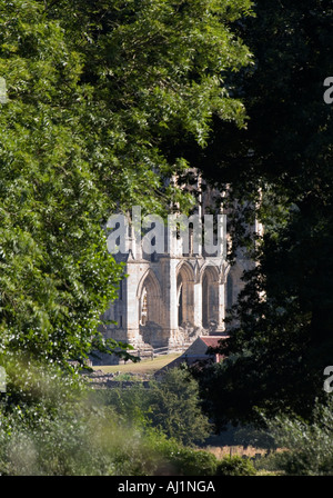 Aperçu à travers un bosquet isolé de Rievaulx Abbey les vestiges de la grande époque médiévale cistercienne (suite..) Banque D'Images