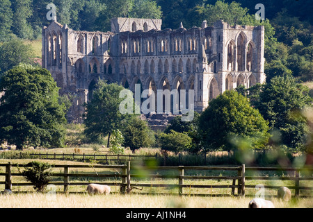 L'abbaye de Rievaulx niché dans la vallée, dans le North York Moors National Park Yorkshire UK Banque D'Images