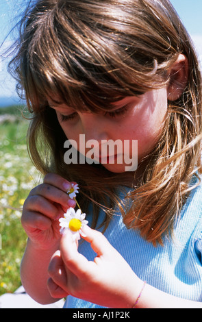 Jeune fille faisant une daisiy la chaîne. Banque D'Images