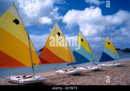 Quatre bateaux à voile sunfish avec voiles multicolores alignés tout droit dans la même direction sur une plage de St Lucia dans les Caraïbes Banque D'Images