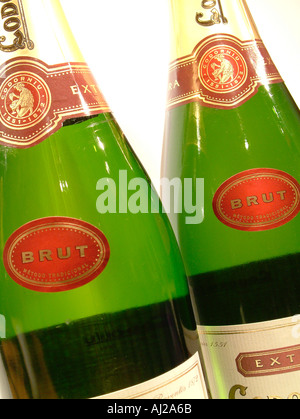 Deux bouteilles de Cava Codorniu brand Banque D'Images