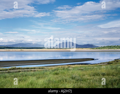 Lac Magadi, un lac alcalin de la Great Rift Valley dans le sud du Kenya. Banque D'Images