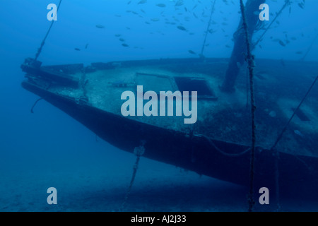 Poissons nager autour de la coque de l'épave Le Voilier sous l'eau, La Ciotat, France. Banque D'Images