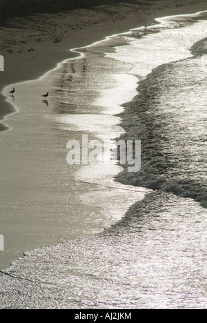 Vue aérienne sur les vagues sur la plage de sable. Vagues de mer sur la ...