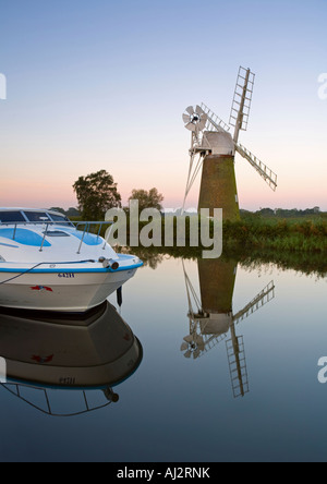 Ant de la rivière dans les Norfolk Broads UK Banque D'Images