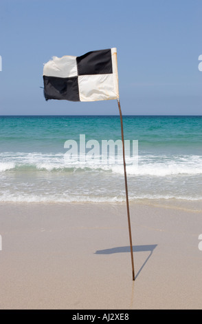 Un drapeau de sécurité noir et blanc flottant au vent sur la plage de Sennen Cornwall UK lors d'une journée ensoleillée en juin 2005 Banque D'Images