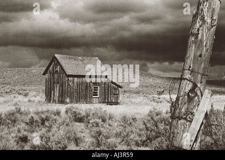 Cabine historique et des toilettes extérieures sur homestead dans le haut désert de centre de l'Oregon Banque D'Images