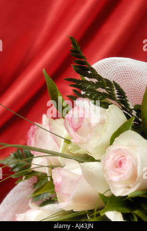 Bouquet de roses blanches sur fond rouge Banque D'Images
