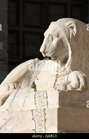 Lion en pierre sculpté fontaine, Piazza Frederico 11 dans la ville médiévale de Jesi ,Le Marches Italie Banque D'Images