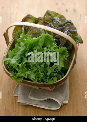 Feuilles de laitue tourné avec numérique moyen format Hasselblad Banque D'Images