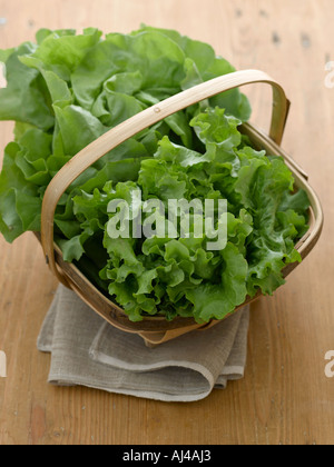 Feuilles de laitue tourné avec numérique moyen format Hasselblad Banque D'Images