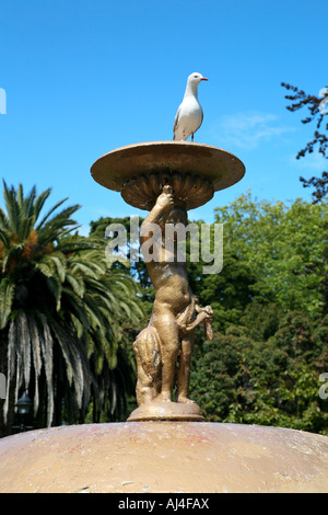 Seagull reposant sur une fontaine à Queen's Gardens, Nelson, Nouvelle-Zélande Banque D'Images