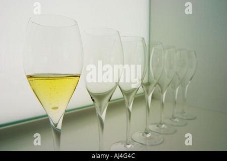 Dégustation de vin d'analyse dans un environnement blanc neutre blanc un bureau d'un lavabo et d'un rétroéclairage écran blanc avec une ligne de verres à champagne vide le premier verre de la ligne remplie de champagne à la Maison de la Champagne (la Maison de la Champagne), le siège central du CIVC (Comité Interprofessionnel du Vin de Champagne) à Epernay, Champagne, Marne, Ardennes, France Banque D'Images