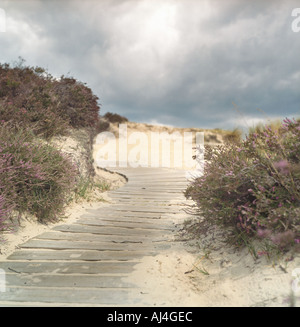 Promenade à travers les dunes de sable Banque D'Images
