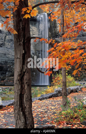 Taughannock Falls encadrée par l'automne Feuilles d'érable Taughannock Falls State Park, près de New York Ulysse Banque D'Images