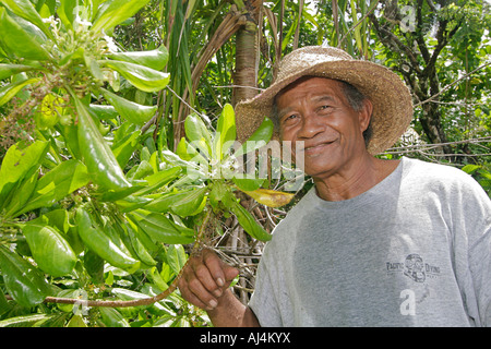 Homme autochtone locale 62 ans se trouve dans la jungle tropicale et parle de l'utilisation traditionnelle des plantes de la mangrove en Micronésie Banque D'Images