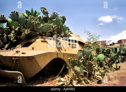 Cactus pousse dans un réservoir Russe abandonnée dans le réservoir de l'Érythrée Asmara Cimetière Banque D'Images