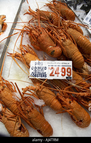 Fruits de mer homard en vente en boutique le Marché aux poissons de Sydney NSW Australie Nouvelle Galles du Sud Banque D'Images