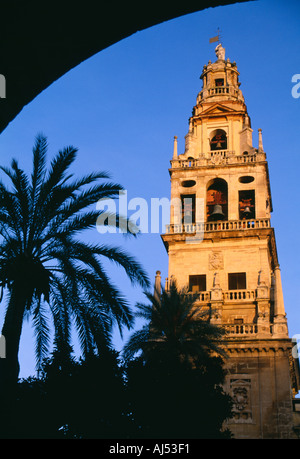 Espagne Andalousie Torre del Alminar clocher mosquée Cordoba Andalousie Banque D'Images