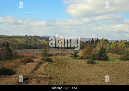 Moorland Schwarzes Moor vu de dessus Rhoen Franconie Bavaria Allemagne Europe Banque D'Images