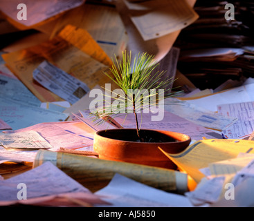 Petit arbre qui pousse des semis en pot à côté d'énorme tas de déchets de papier Banque D'Images