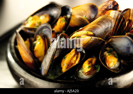 MOULES CUITES À LA VAPEUR Banque D'Images