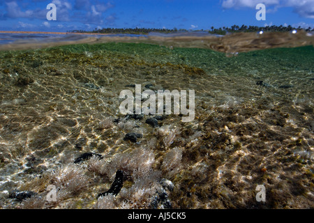 Deux images du fond du chenal et de l'atoll d'Ailuk île inhabitée du Pacifique Îles Marshall Banque D'Images