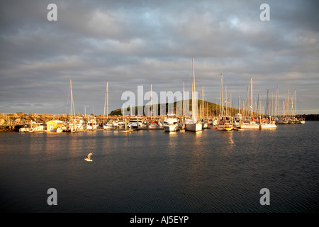Yachts et bateaux à moteur dans la lumière du soir au coucher du soleil au port à Coffs Harbour, en Nouvelle Galles du sud , Australie Banque D'Images
