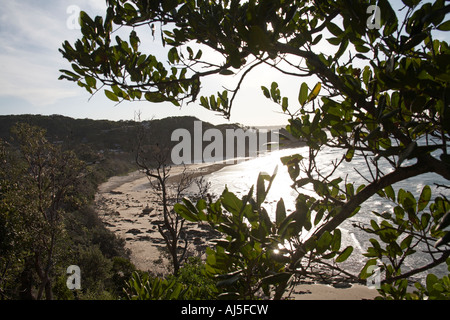 Plage de WAtegos Byron Bay en Nouvelle Galles du sud , Australie Banque D'Images