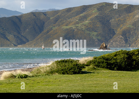 Seataun Wellington Nouvelle-Zélande Banque D'Images