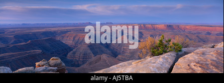 Tours de cygne dans la rivière San Juan à l'aube Goosenecks State Park Utah USA Banque D'Images