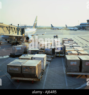 Air cargo dans des conteneurs métalliques en cours de chargement sur l'extérieur de l'avion sur le tarmac de l'aéroport Lester B. Pearson Toronto Ontario Canada Kathy DEWITT Banque D'Images