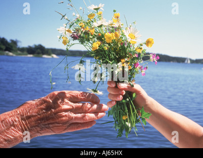 Petit-enfant offrant bouquet de fleurs sauvages à grand-mère Banque D'Images