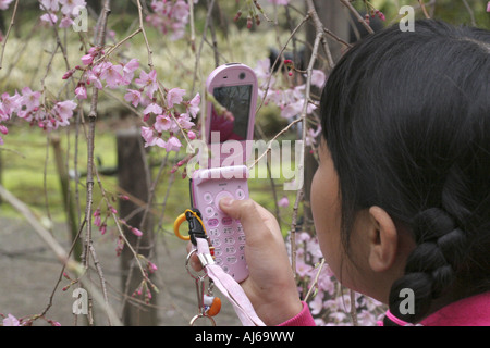 Photographier un cerisier pleureur en utilisant un téléphone mobile au Japon Tokyo Jardins de Rikugien Banque D'Images