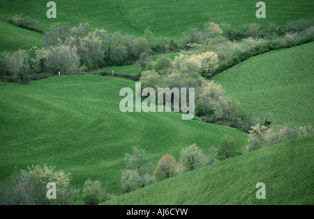 Paysage toscan au printemps, l'Italie, Toscane Banque D'Images