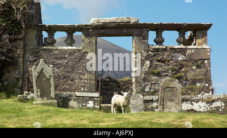 Un mouton parmi les ruines de Cill Chriosd église près de Broadford sur l'île de Skye Banque D'Images