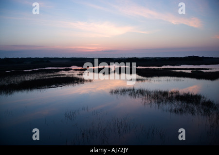 Sky reflétant dans l'eau en zone de marais sur Bald Head Island Caroline du Nord. Banque D'Images